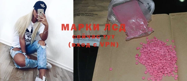 стафф Коряжма