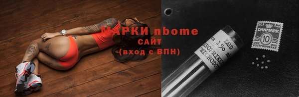 стафф Коряжма