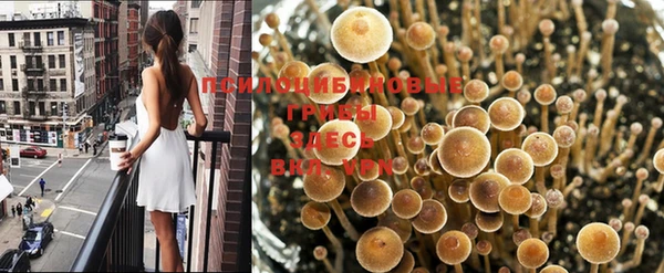 кокаин премиум Костерёво